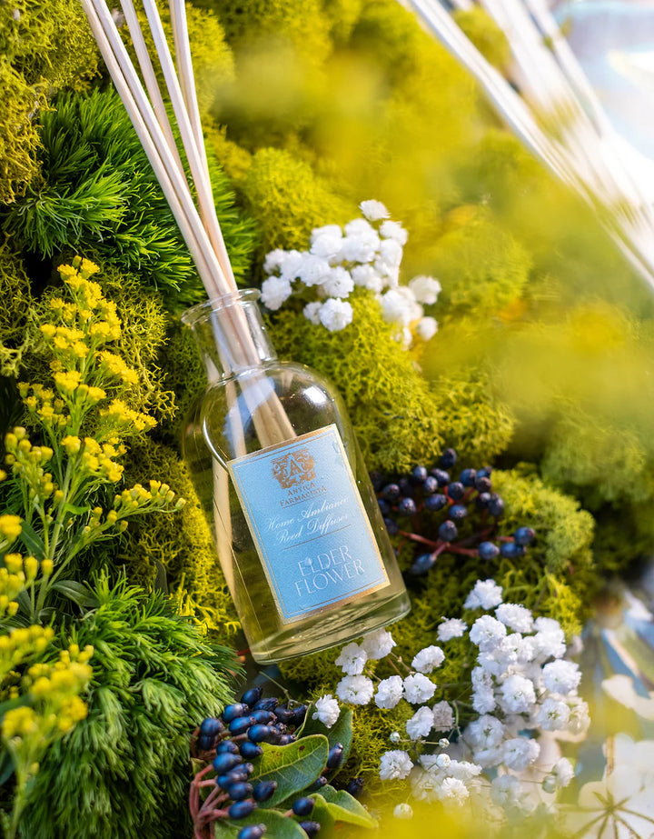 Antica 100ml Elderflower Reed Diffuser