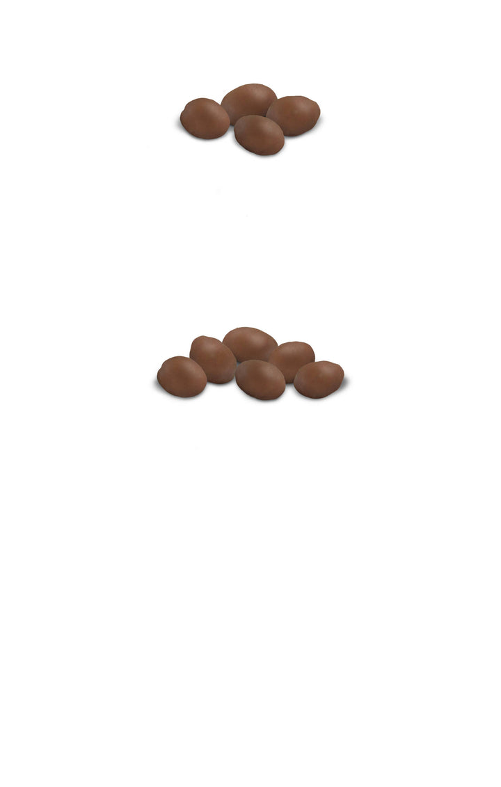 Virginia Diner, Inc. - 10 oz D. Dipped Chocolatey Peanuts