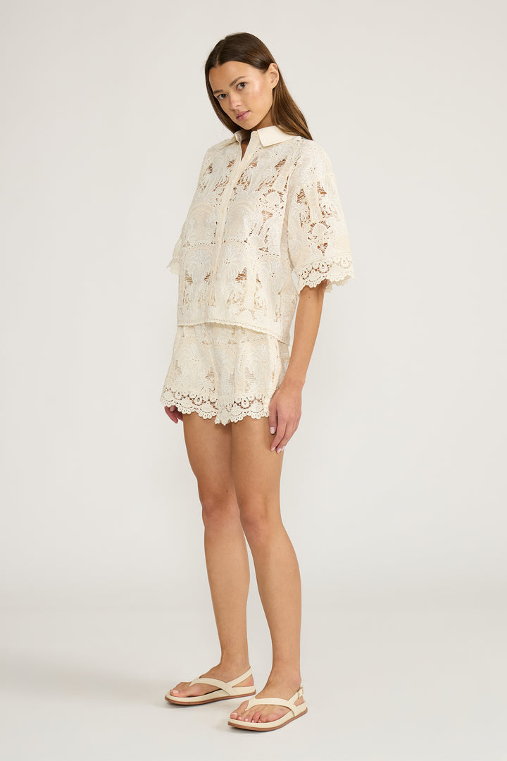 T5097 NELLIE BUTTON DOWN TOP
