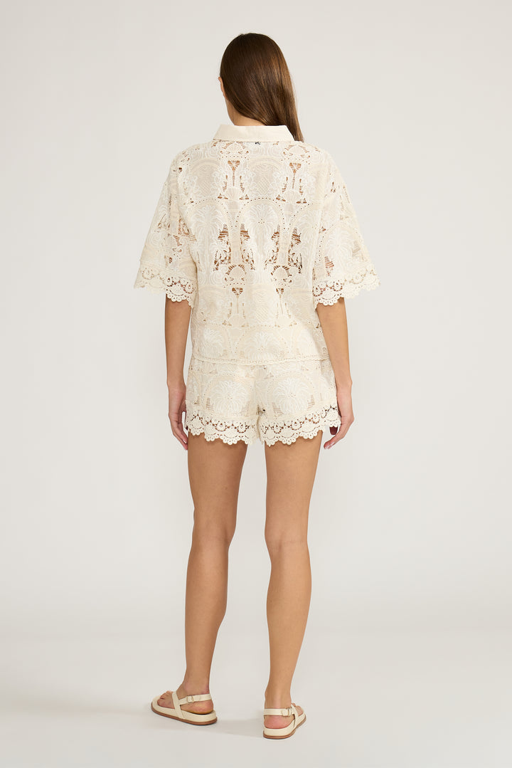T5097 NELLIE BUTTON DOWN TOP
