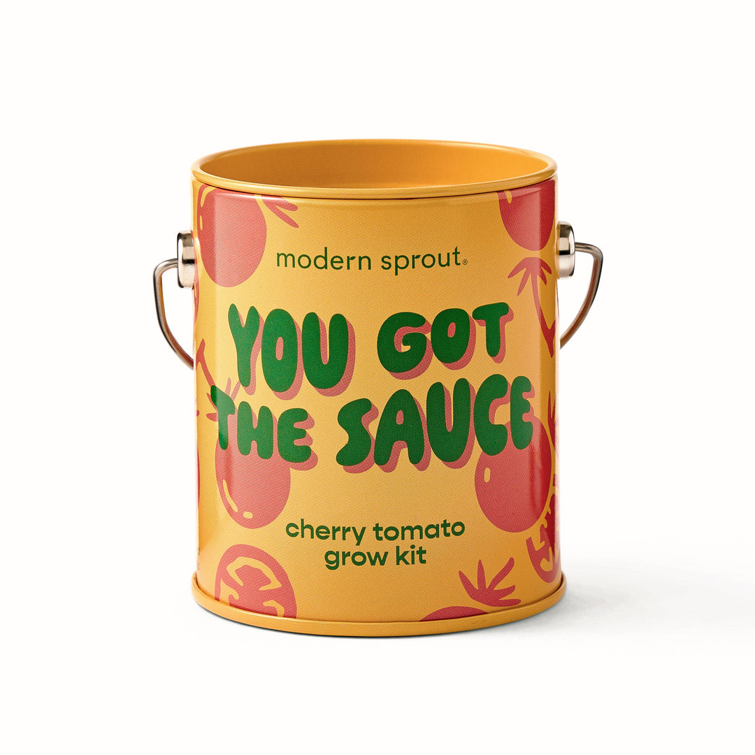 Modern Sprout - Complimentary Color Grow Kits