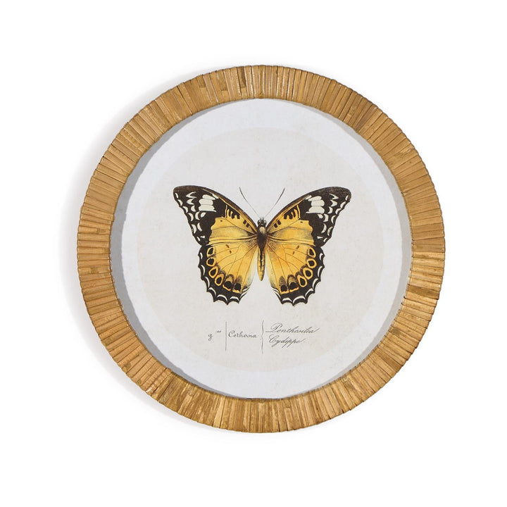 S/6 Butterfly Wall Art Includes 6 designs