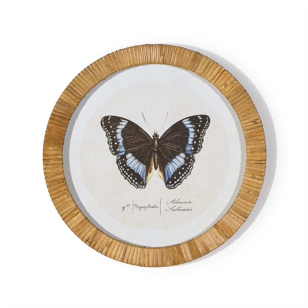 S/6 Butterfly Wall Art Includes 6 designs