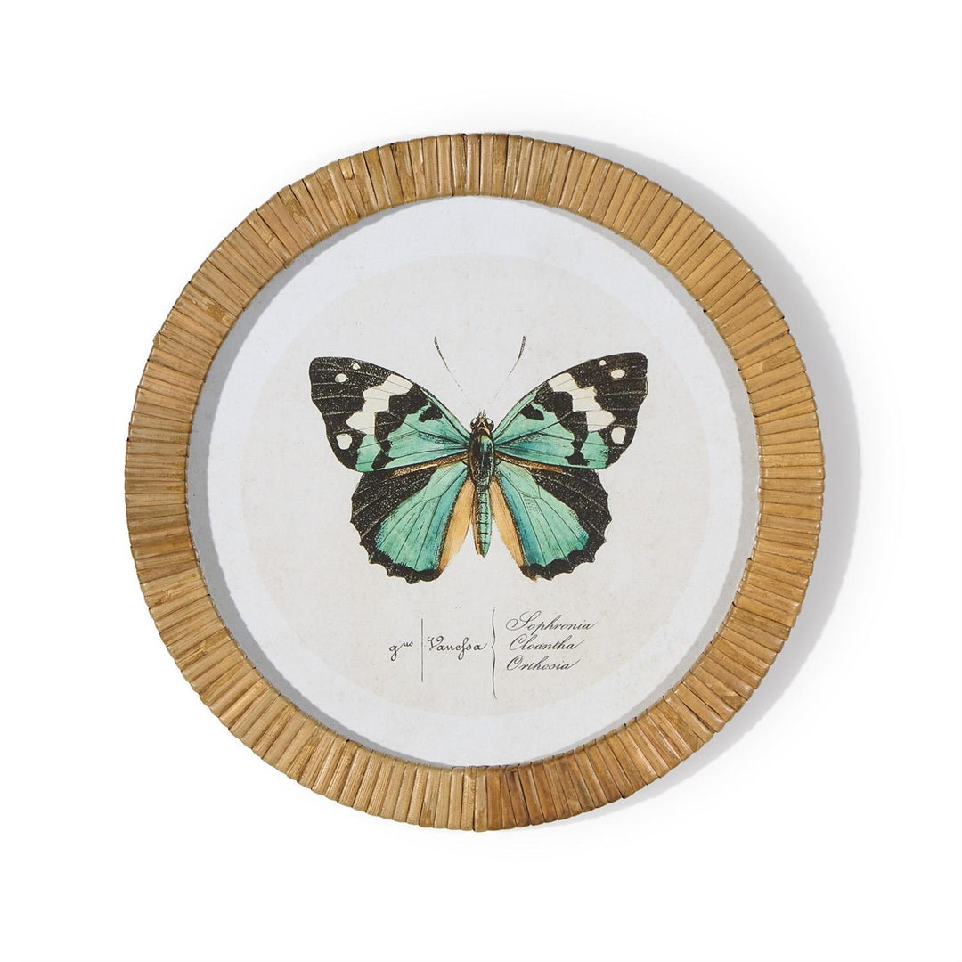 S/6 Butterfly Wall Art Includes 6 designs