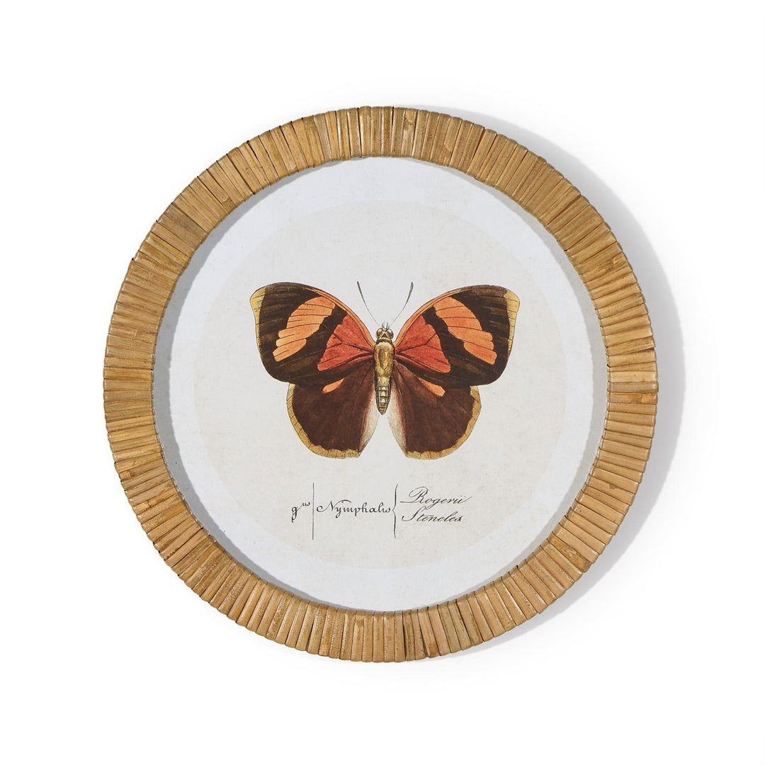 S/6 Butterfly Wall Art Includes 6 designs