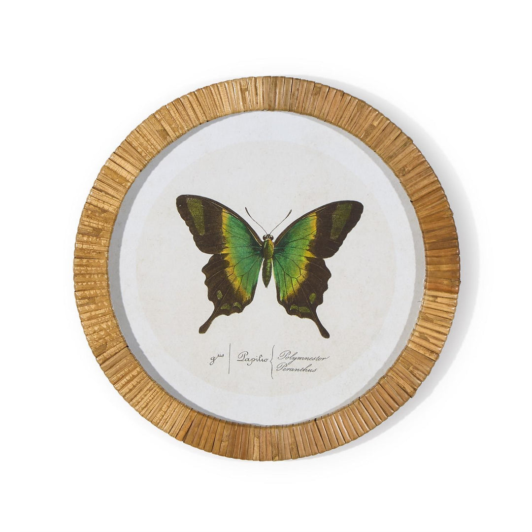 S/6 Butterfly Wall Art Includes 6 designs