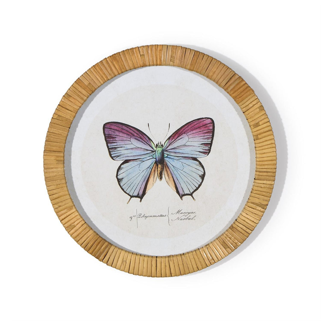 S/6 Butterfly Wall Art Includes 6 designs