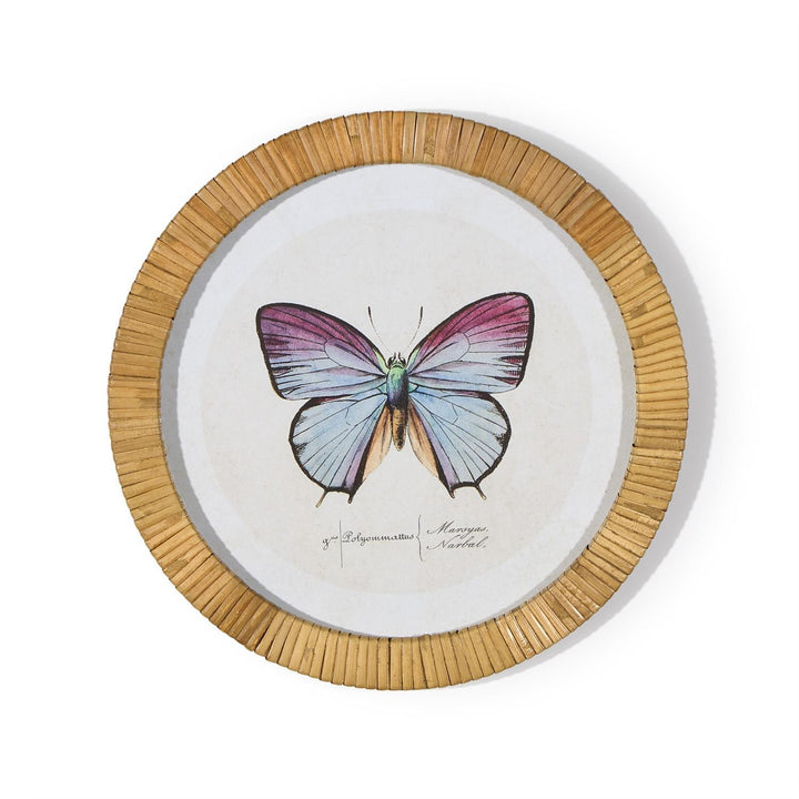 S/6 Butterfly Wall Art Includes 6 designs
