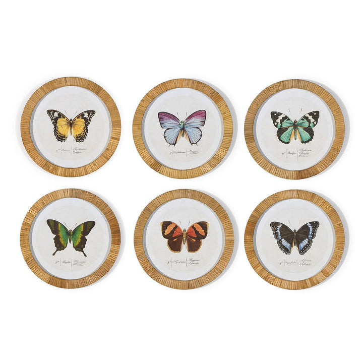 S/6 Butterfly Wall Art Includes 6 designs