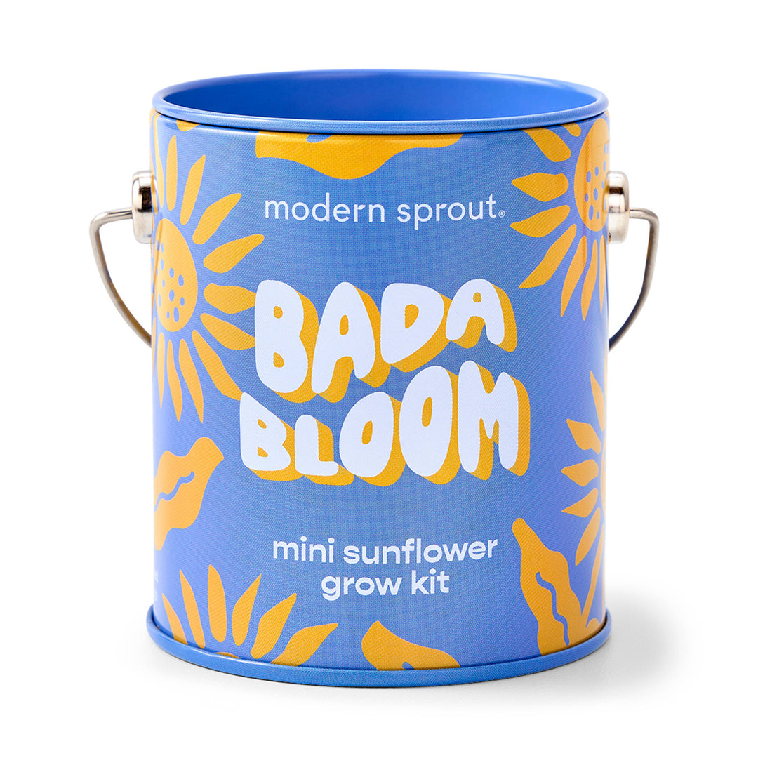Modern Sprout - Complimentary Color Grow Kits