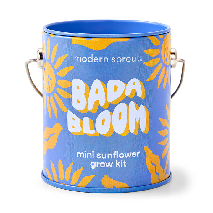 Modern Sprout - Complimentary Color Grow Kits