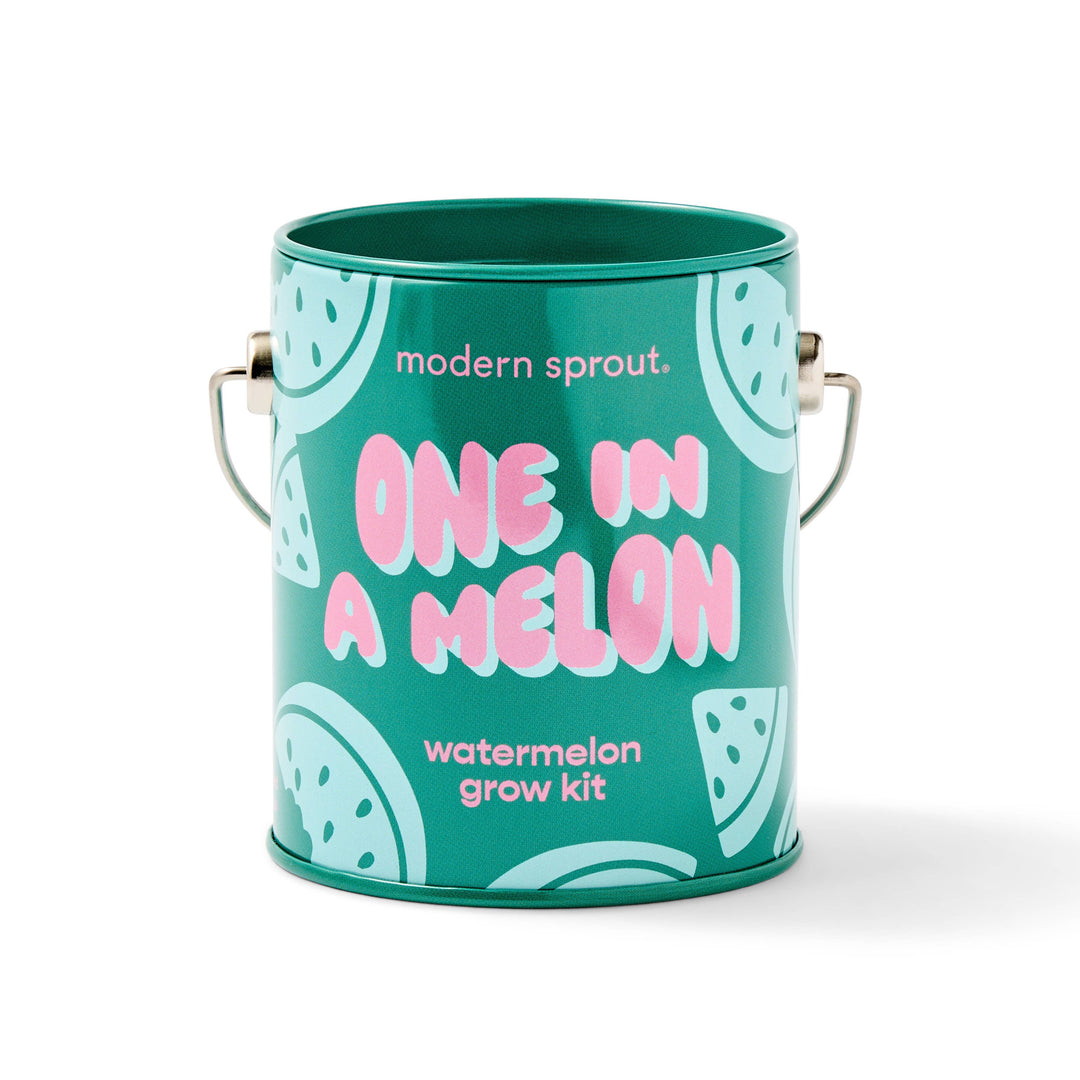 Modern Sprout - Complimentary Color Grow Kits