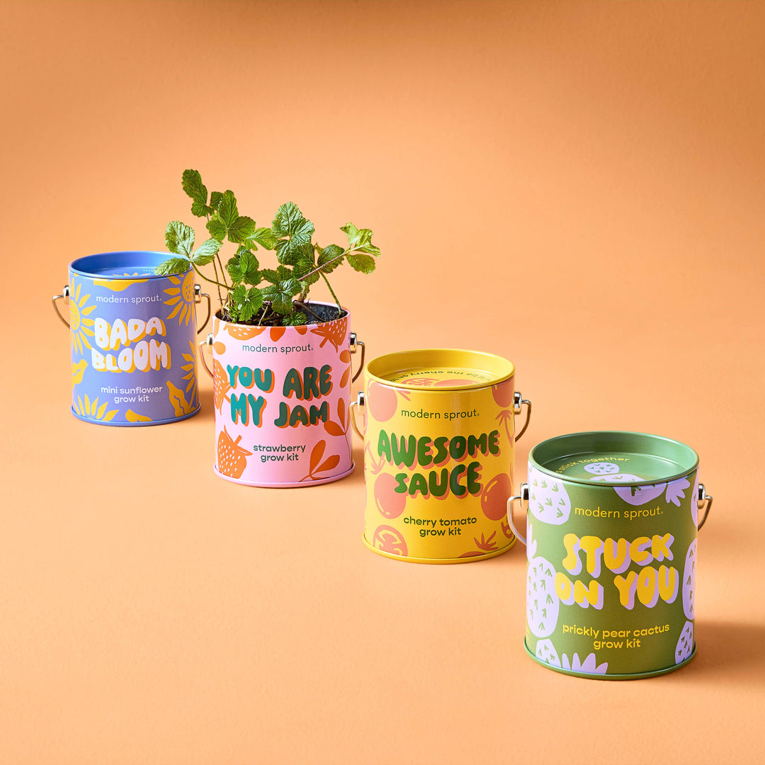 Modern Sprout - Complimentary Color Grow Kits