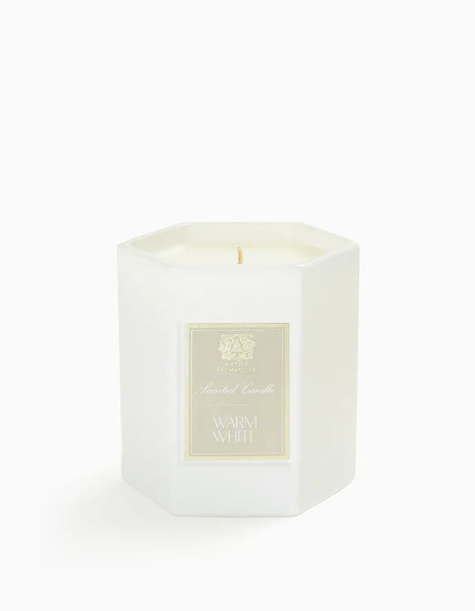 Antica Hexa Candle 9oz Warm White