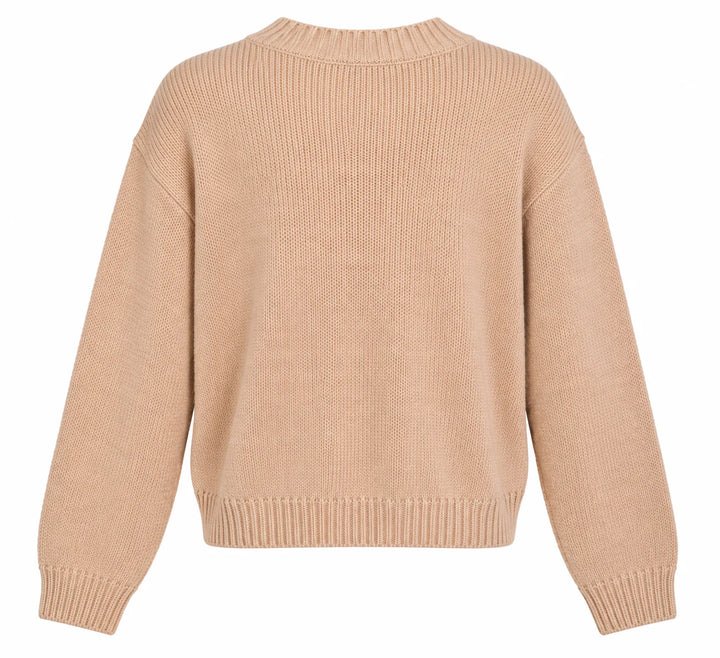 Elan Crew Neck Colorblock Sweater