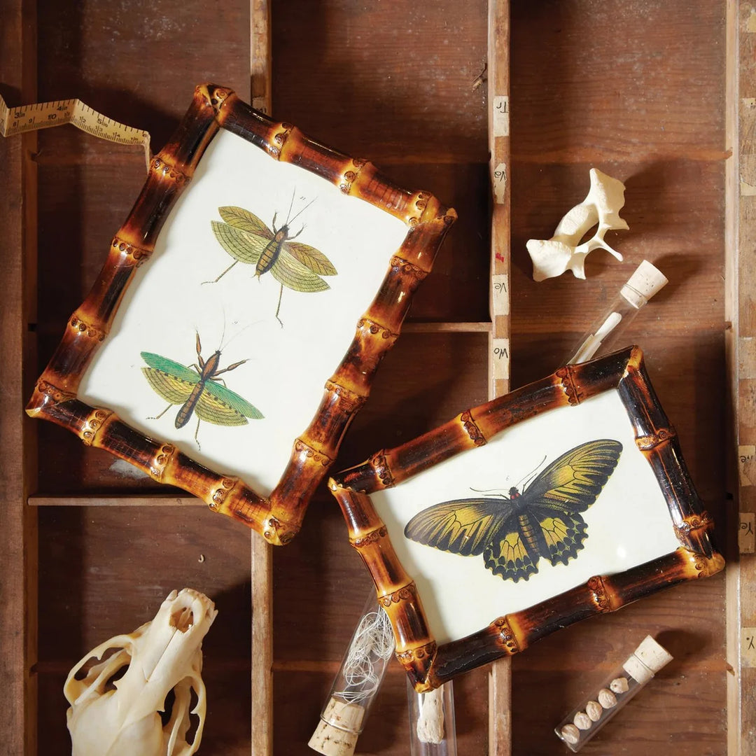 Bamboo Frame