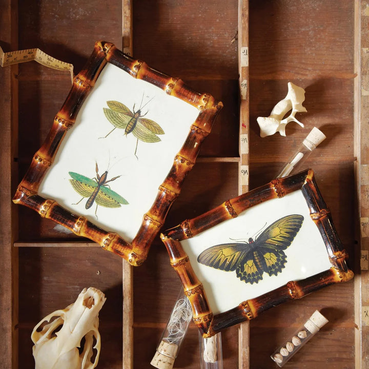 Bamboo Frame