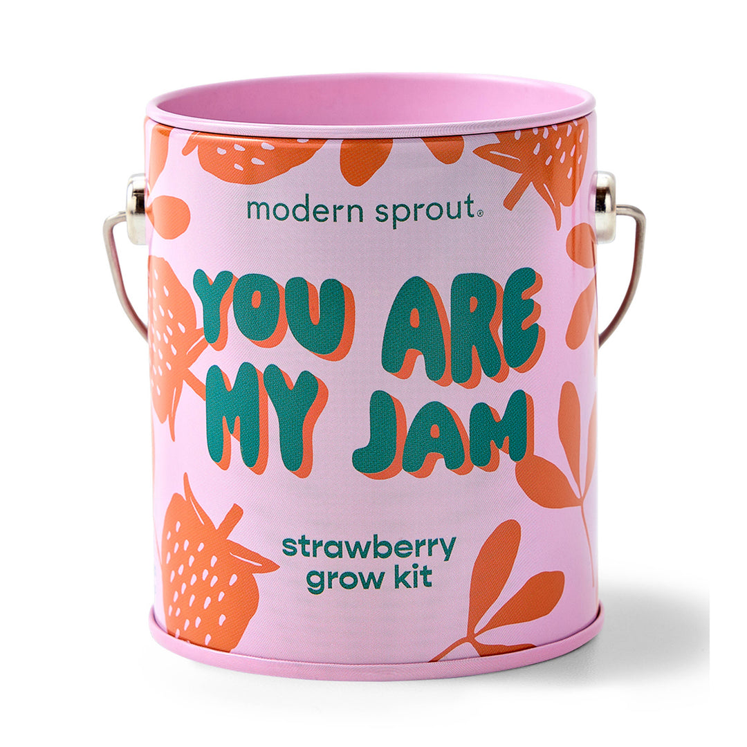 Modern Sprout - Complimentary Color Grow Kits