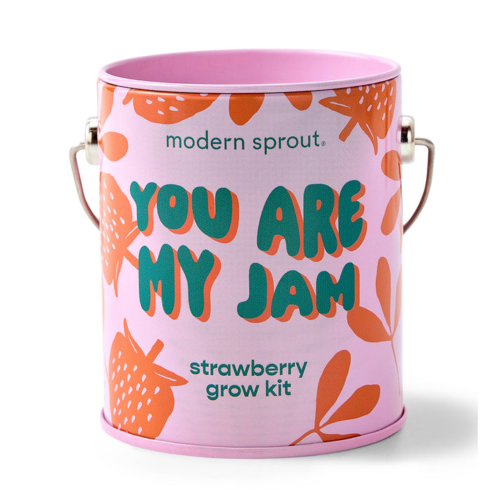 Modern Sprout - Complimentary Color Grow Kits