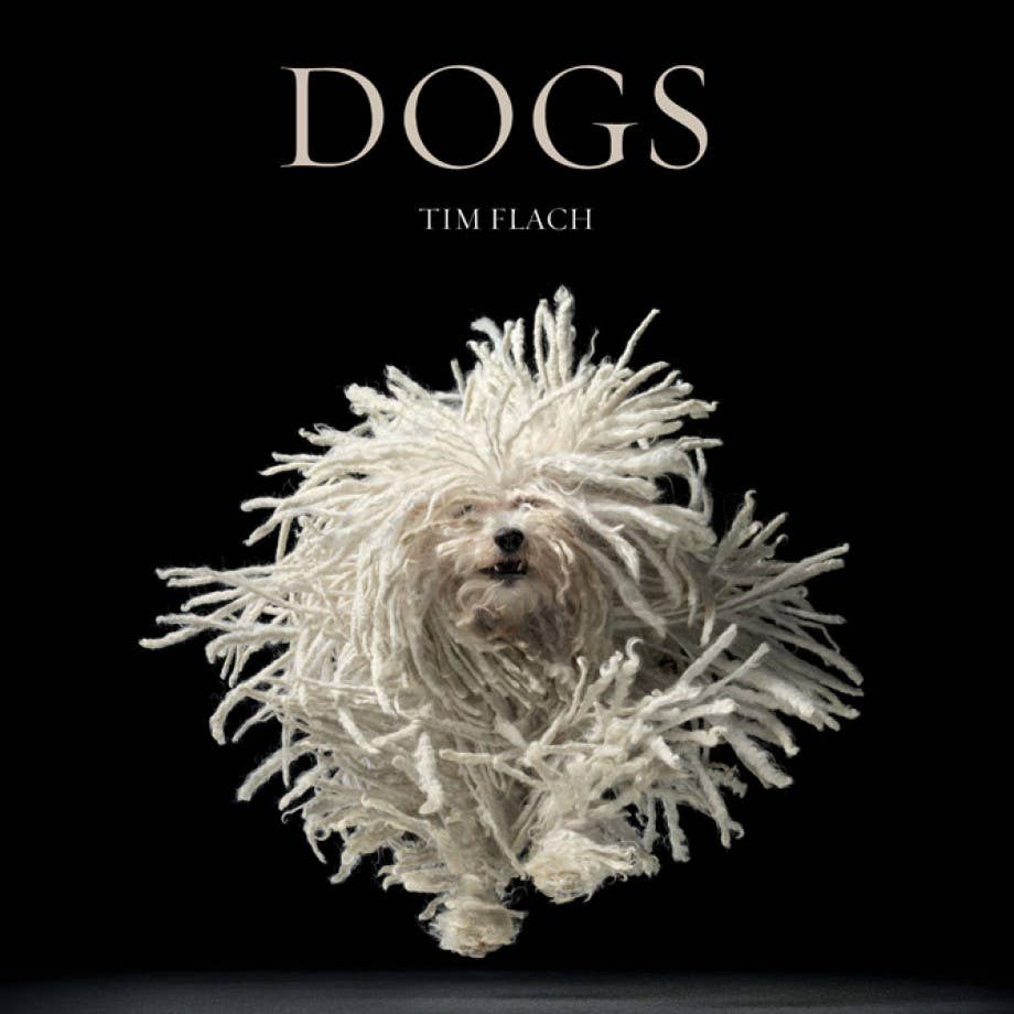 Abrams - Dogs