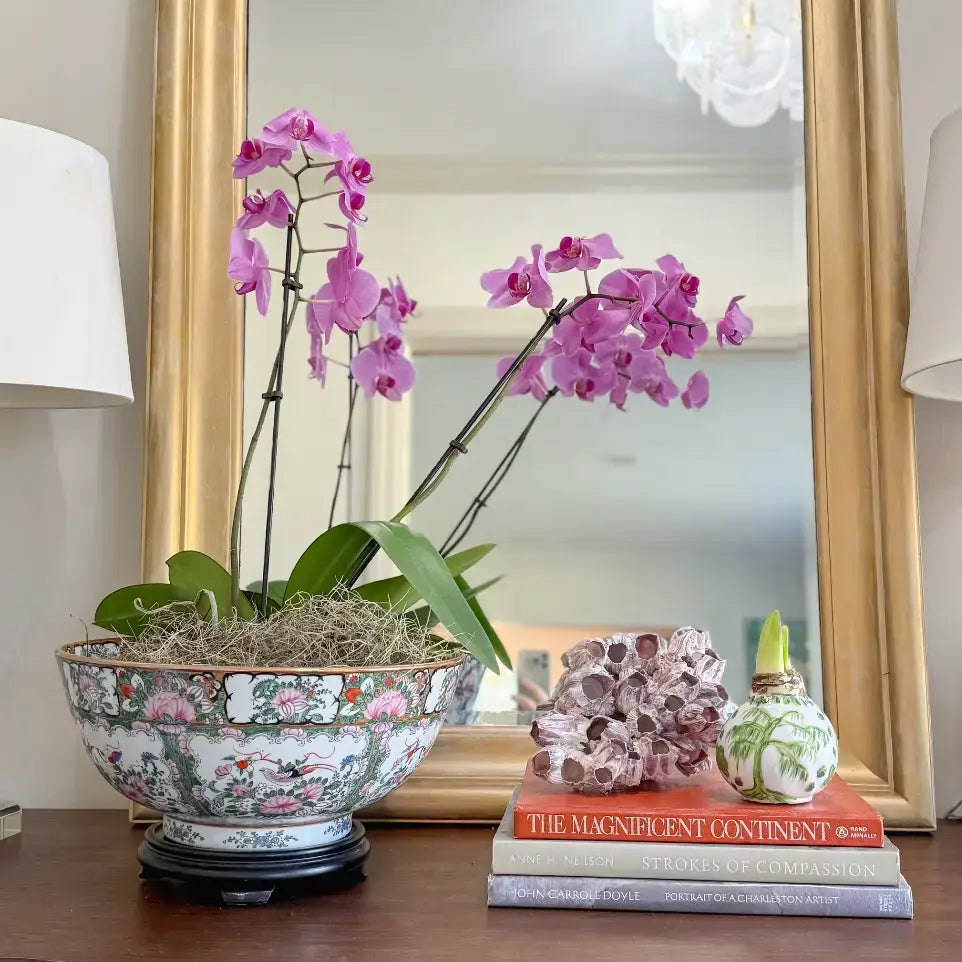 Hand Painted Green & White Chinoiserie Waxed Amaryllis Bulb