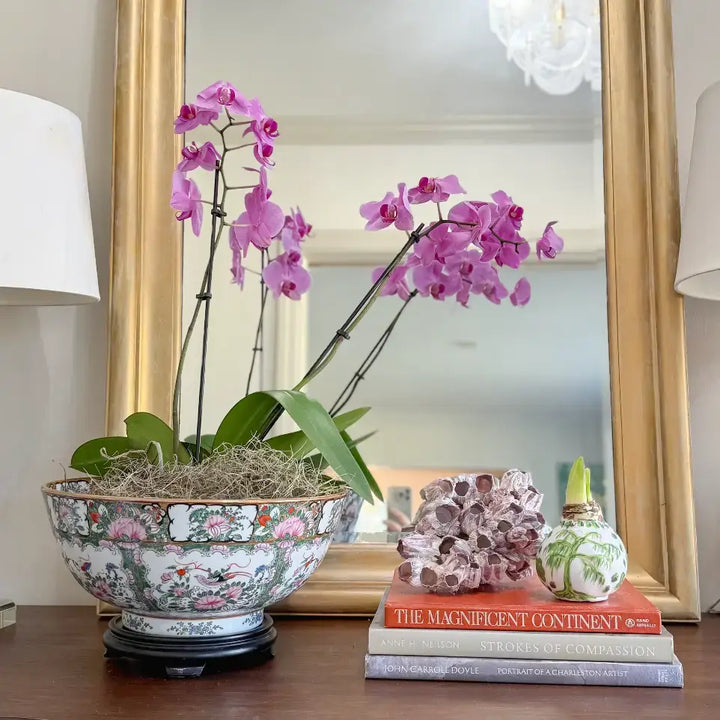 Hand Painted Green & White Chinoiserie Waxed Amaryllis Bulb