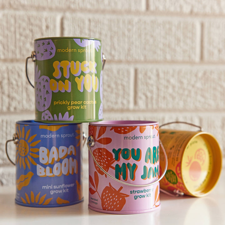 Modern Sprout - Complimentary Color Grow Kits