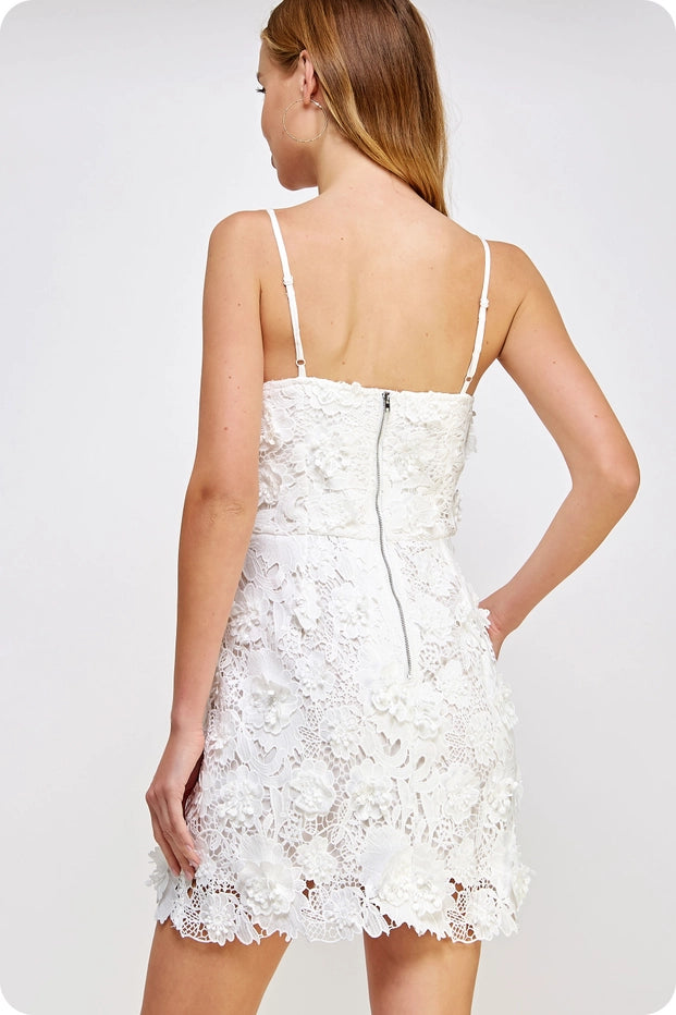 3D Floral Lace Mini Dress
