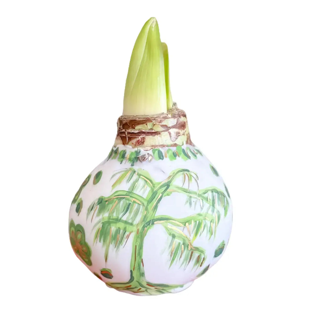 Hand Painted Green & White Chinoiserie Waxed Amaryllis Bulb