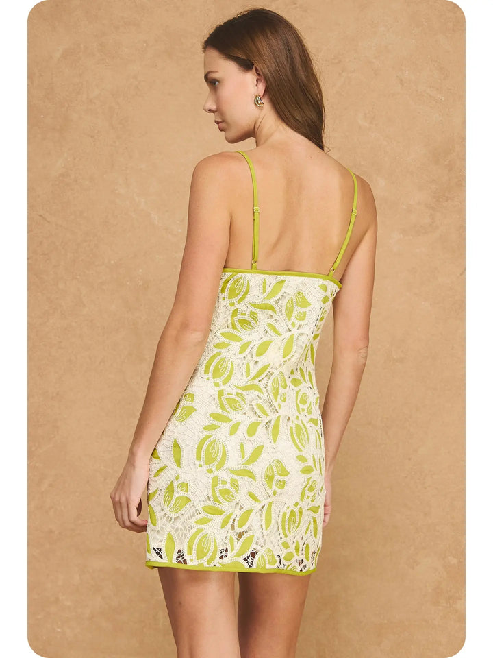 Contrast Floral Lace Crochet Mini Dress