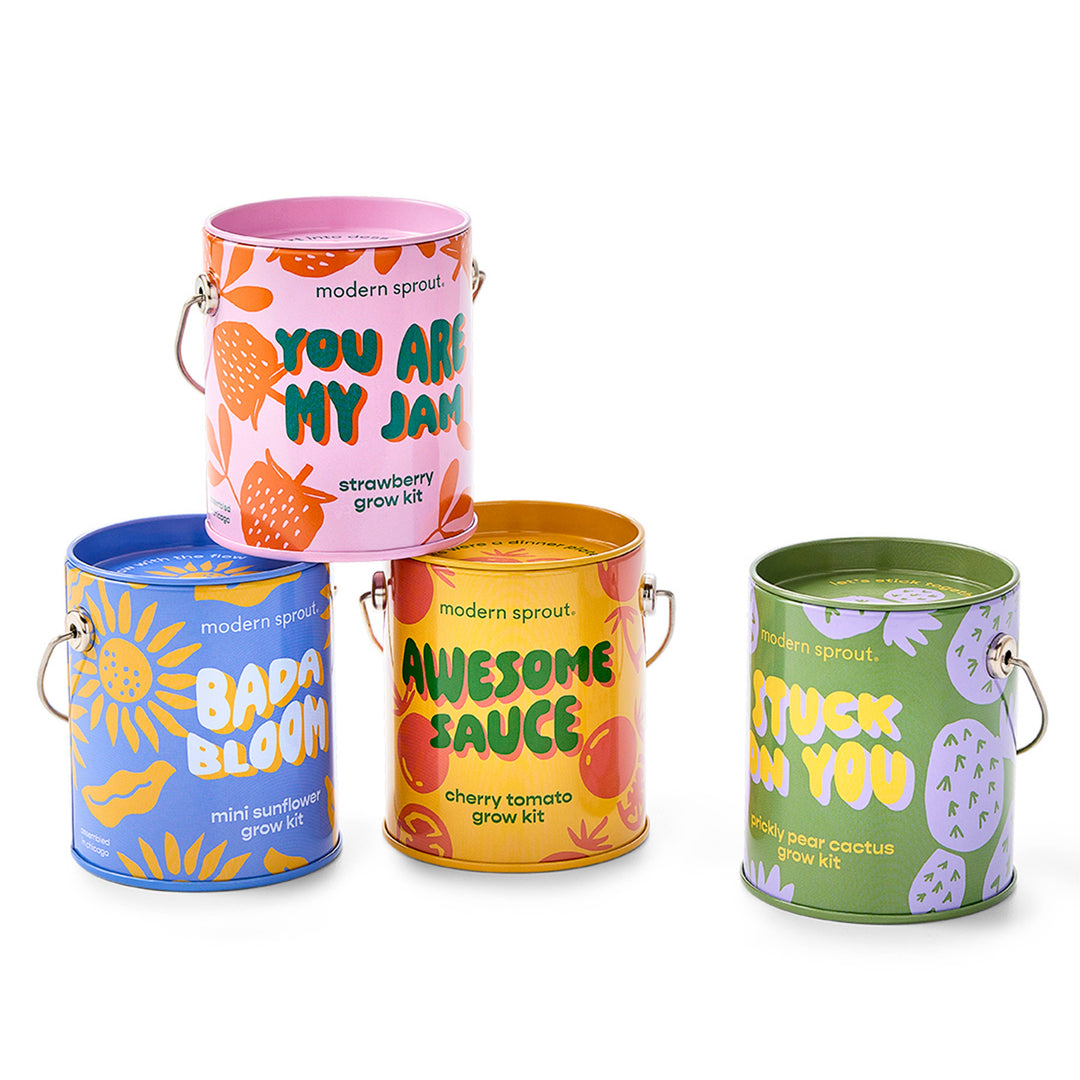 Modern Sprout - Complimentary Color Grow Kits