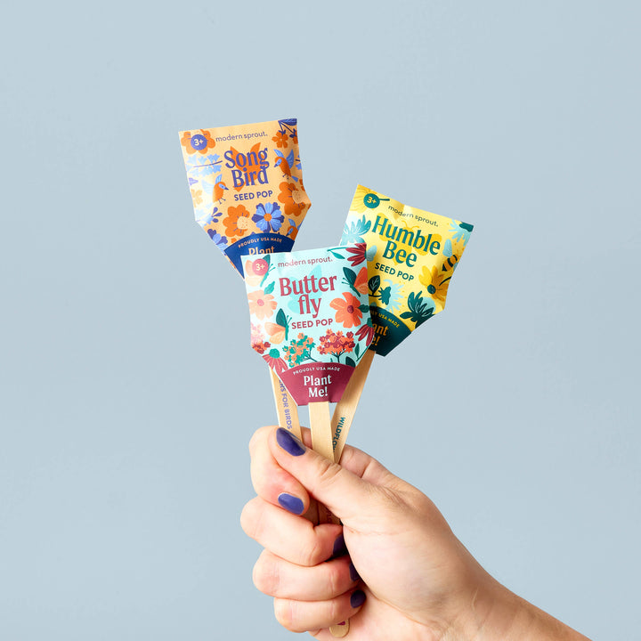 Modern Sprout - Pollinator Seed Pop (Single)